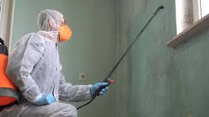 Asbestos and Lead Testing During Mold Inspection in Milton, WA