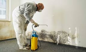 Reliable Milton, WA Mold Prevention & Removal  Solutions